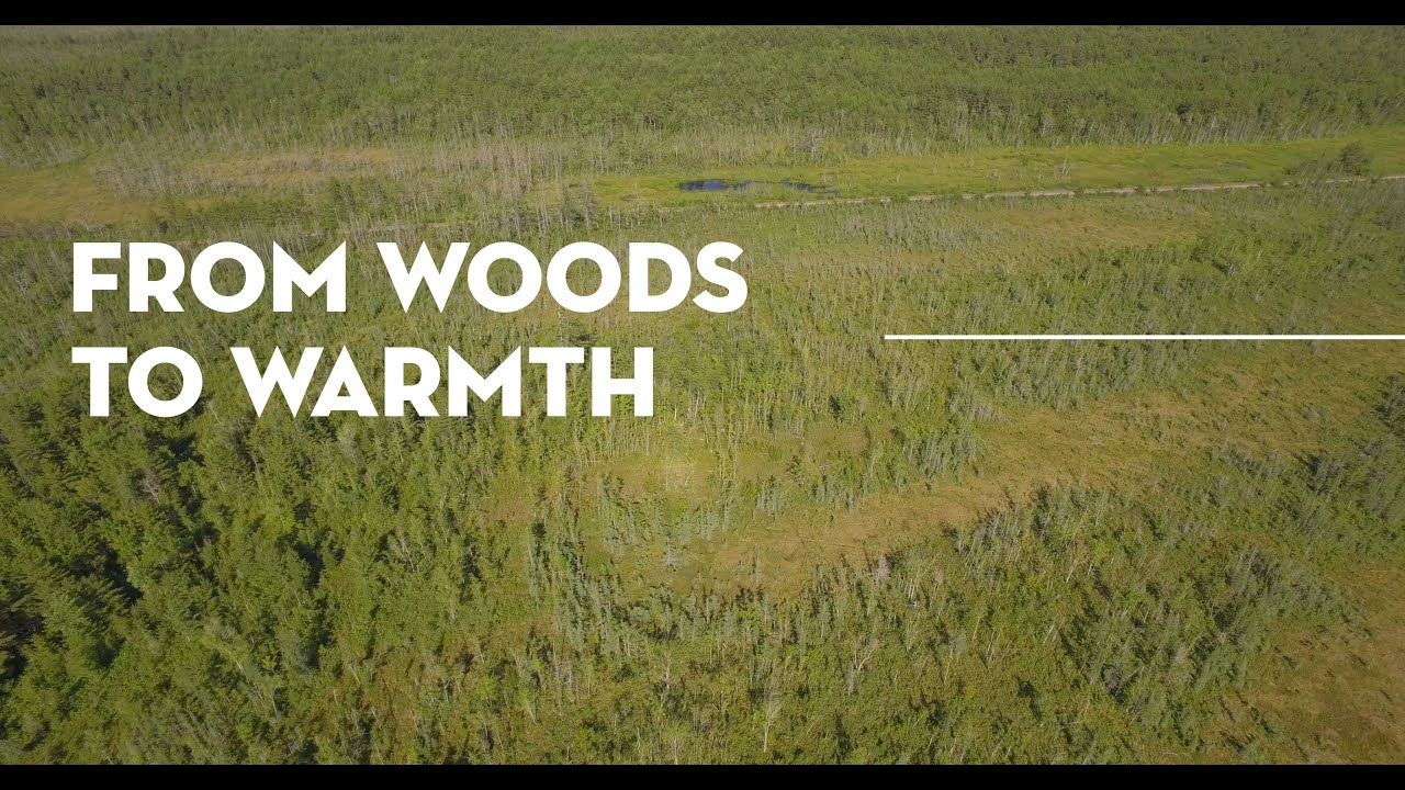 Thumbnail From Woods to Warmth video